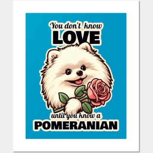 Pomeranian Valentine's day Posters and Art